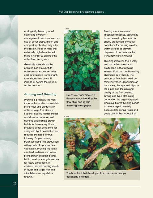 Fruit Crop Ecology and Management - UVM Apple Orchard