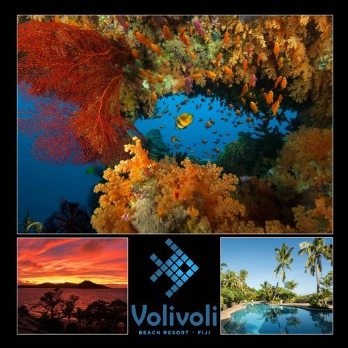 Volivoli