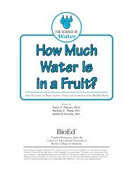 The Science of Water: How Much Water Is in a Fruit? - K8 Science
