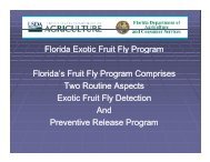 Florida Exotic Fruit Fly Program