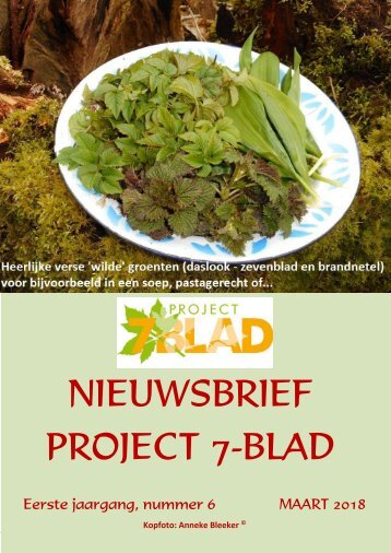 2018.03.01-PROJECT-7-BLAD-NIEUWSBRIEF-06