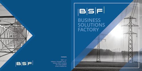 BSF_journal-new-for print