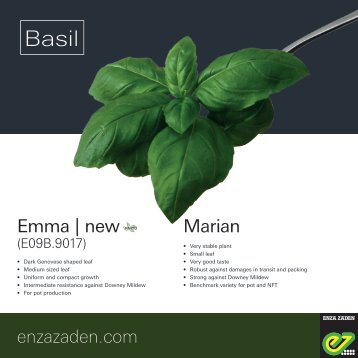 Leaflet Basil 2018