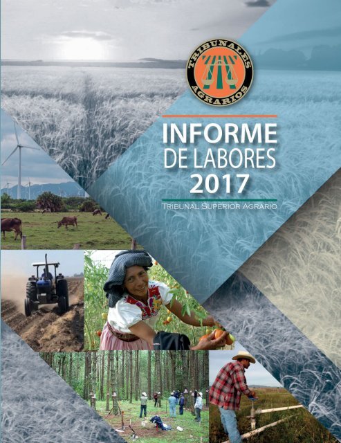 informe de labores 2017