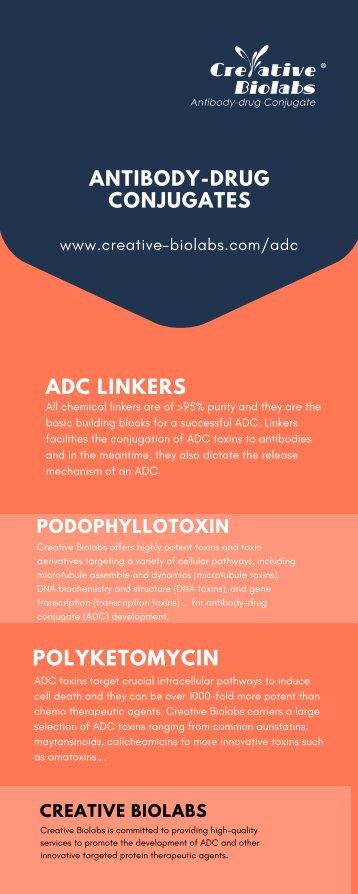 ADC LINKERS