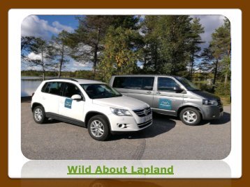 Wild About Lapland