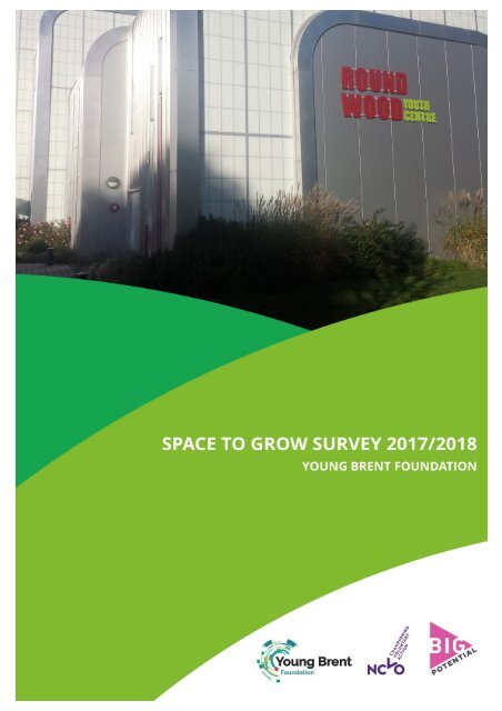  Young Brent Foundation Space To Grow Report  