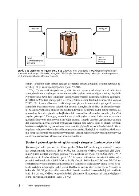 Stahl’ın Temel Psikofarmakolojisi.compressed