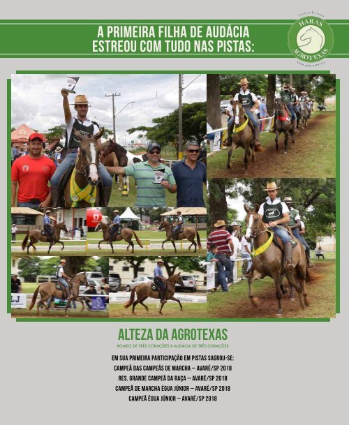 Revista Completa 38