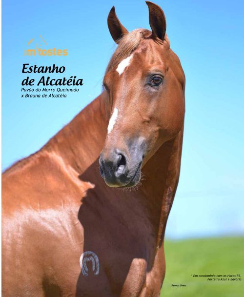 Revista Completa 38