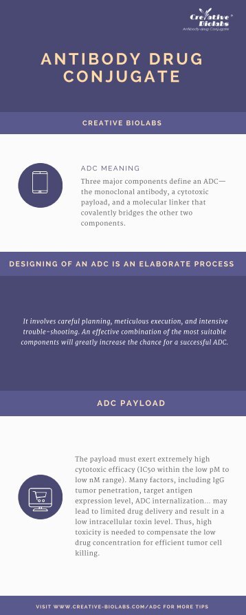 Antibody Drug Conjugate