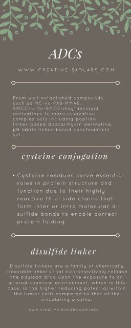 ADCs，disulfide linker，cysteine conjugation