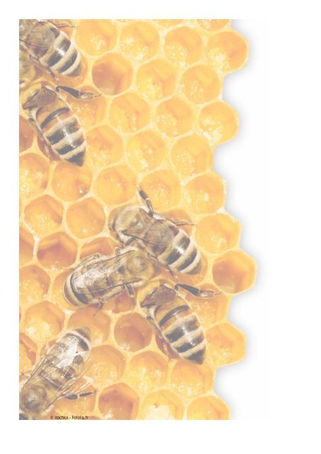 Bijenplan- Bijengezondheid, ook onze gezondheid