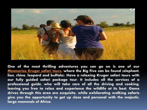 Safari Tours