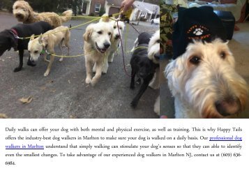 Professional Dog Walkers in Marlton