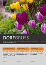 2018-Q1_DORFGRUSS_online