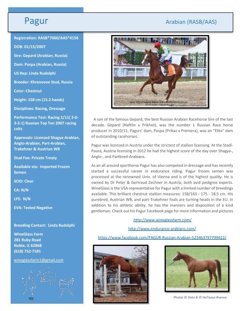 Arabian Sport Horse Alliance 2017-2018 Directory & Yearbook