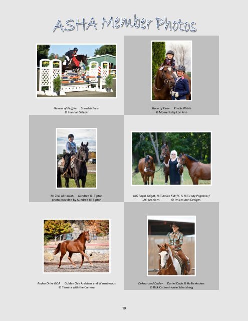 Arabian Sport Horse Alliance 2017-2018 Directory & Yearbook