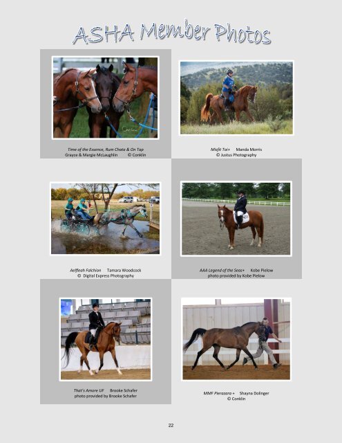 Arabian Sport Horse Alliance 2017-2018 Directory & Yearbook