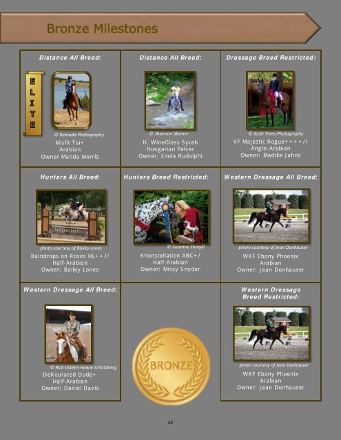 Arabian Sport Horse Alliance 2017-2018 Directory & Yearbook