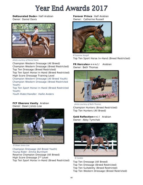 Arabian Sport Horse Alliance 2017-2018 Directory & Yearbook