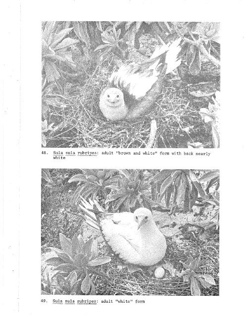 ATOLL RESEARCH BULLETIN - Smithsonian Institution