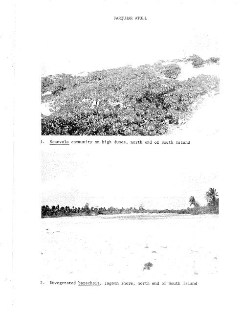 ATOLL RESEARCH BULLETIN - Smithsonian Institution