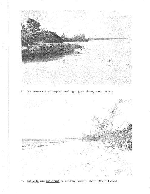 ATOLL RESEARCH BULLETIN - Smithsonian Institution