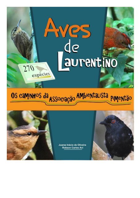 Aves de Laurentino