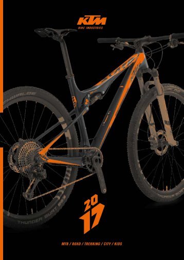 KTM Bike Industries 2017