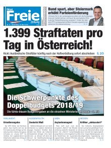 1.399 Straftaten pro Tag in Österreich