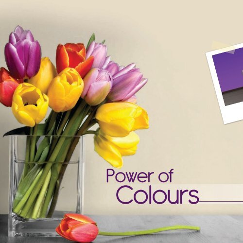 COLOUR COLLECTIONS - Nippon Paint Singapore