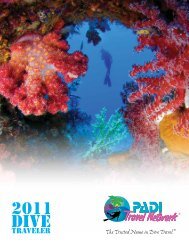 2011 Dive - Padi