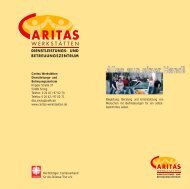 PDF-Datei - Caritas Werkstätten