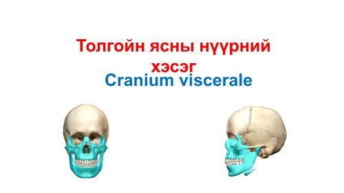 1-Толгойн-ясны-нүүрний-хэсэг