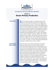 Section 6: Ocean Primary Production - NOAA, Ocean Explorer