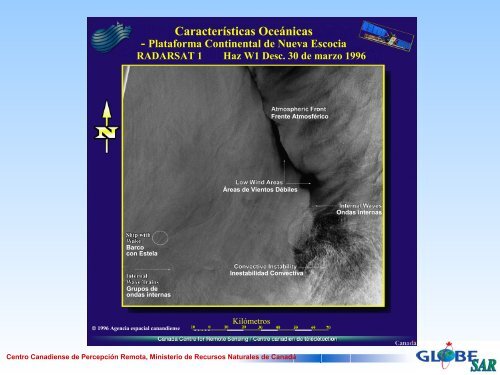 Imágenes SAR del océano y aplicaciones - GeoGratis