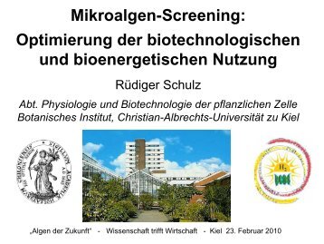 Mikroalgen-Screening: Optimierung der biotechnologischen und ...