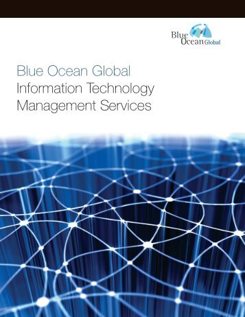 Blue Ocean Global Information Technology Management Services