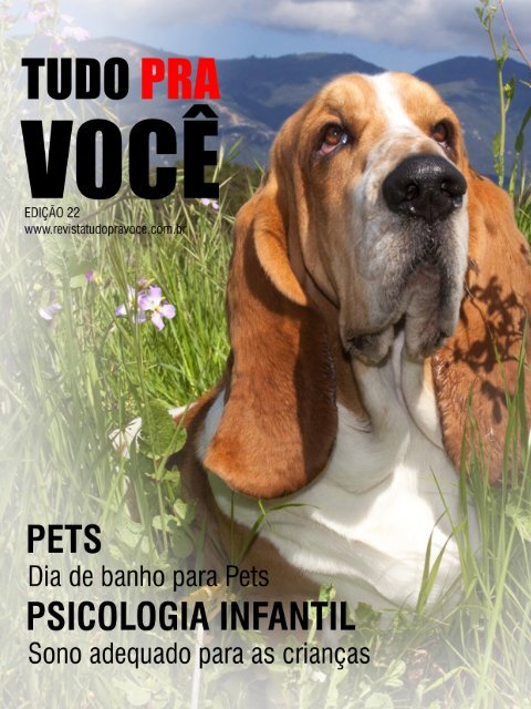 REVISTA TUDO PRA VOCE 22