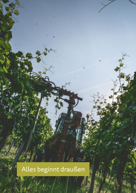 Weingut Schloss Ortenberg