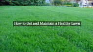 How to Get and Maintain a Healthy Lawn