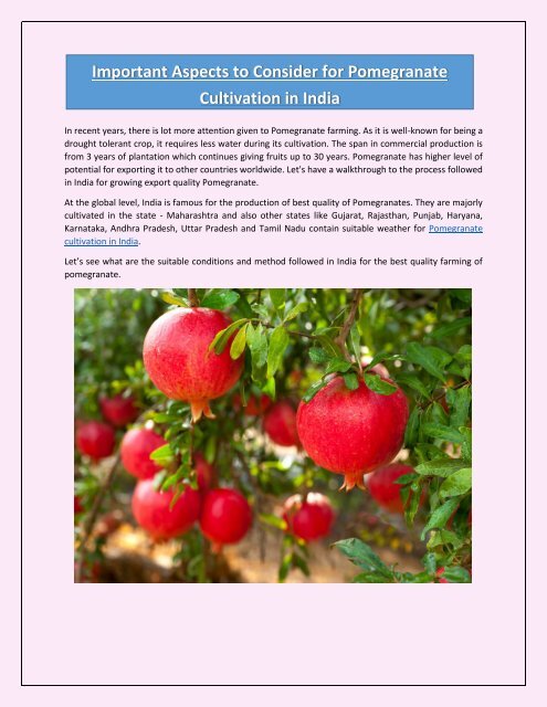 Important Aspects to Consider for Pomegranate Cultivation in India