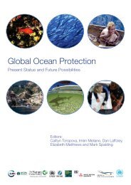 Global ocean protection : present status and future possibilities - IUCN