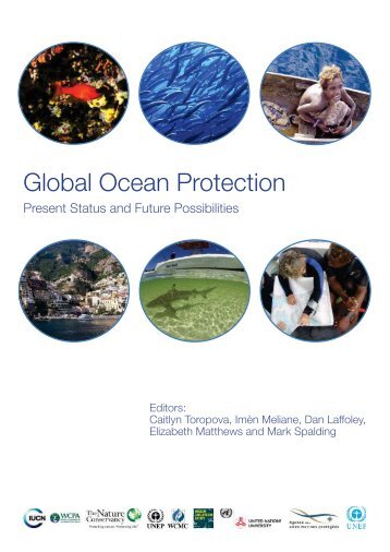 Global ocean protection : present status and future possibilities - IUCN