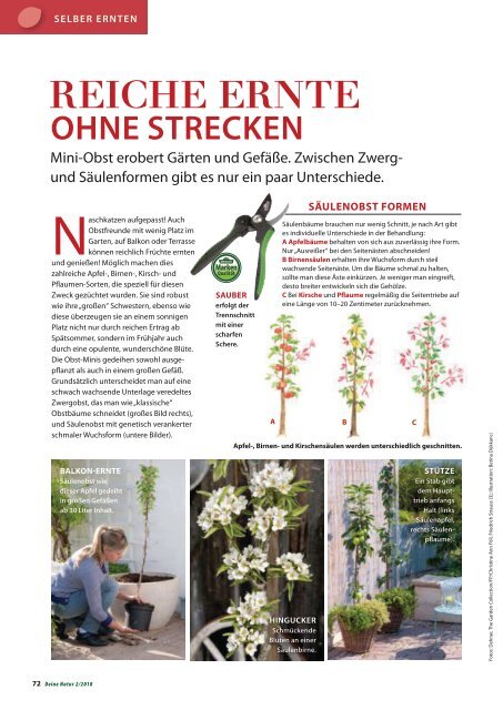 Dehner Magazin - 2/2018