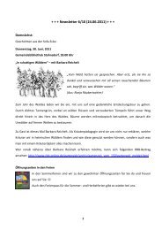 Bibliothek Newsletter 3/11 (24.06.2011) - Stahnsdorf