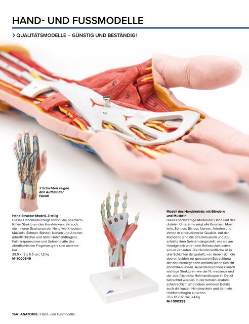 3B MEDIZIN | Biologie | Bachmann Lehrmittel