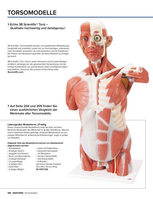 3B MEDIZIN | Biologie | Bachmann Lehrmittel