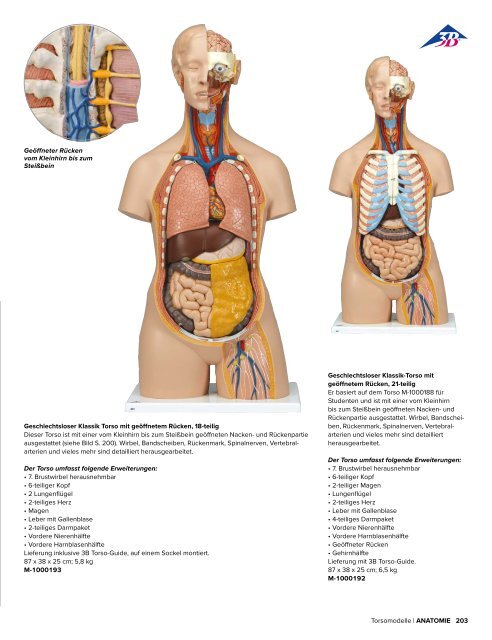 3B MEDIZIN | Biologie | Bachmann Lehrmittel